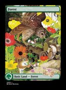 0005 Forest
