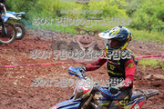 IMG-6486