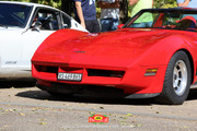 IMG-4001