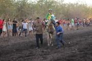 IMG-6278