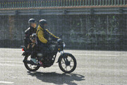 DSC-0156