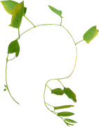 0_17d58a_95e10ab3_X5L