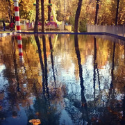 IMG_20141004_190024_resize