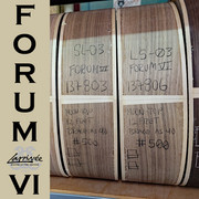 Larrivee- ForumVI-19