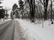 IMG-6545