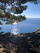 photo_2024-01-29_15-50-57