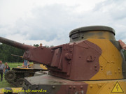 IMG-6620