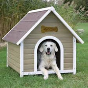 dog-house.jpg