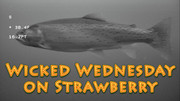 [Image: Wicked-Wednesday-Thumbnail.jpg]