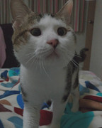 2017-05-18 09.25.22 1517538620554530178_338237262