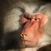 낚시사랑