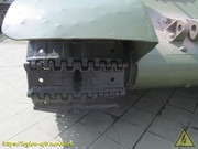 IMG-8181