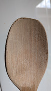 PXL-20260809-125651926-MACRO-FOCUS