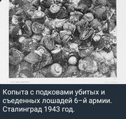 https://i.postimg.cc/dhBVx5fB/photo-2026-06-30-04-27-11.jpg