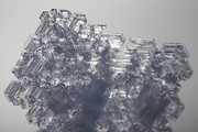 DSC02277-crop