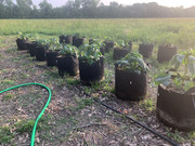 861F191F-EF5C-48FD-AFD7-D3C2274D1804