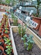 photo-littlefarmer2122-011