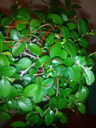 IMG_20200211_220324_569