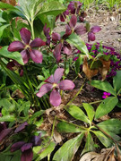 IMG-c924b1e92236c8c1d113dd1557b09e84-V