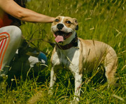 Screenshot_20230627_234016_Gallery