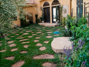 Succulent Garden Design