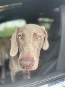 FA7CA603-2930-4FAD-AEF5-FEC4D10D1867