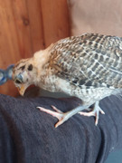 3eb5551f-059b-42db-8a15-2302093d88c3