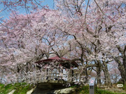 photo 17 2026 01 16 21 56 05