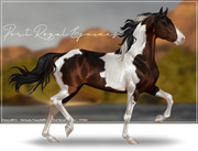 Untitled234-20250323185049