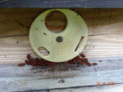 [Obrázky: DSC02449-1.jpg]