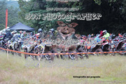 IMG-6191