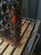 photo_2020-06-16_07-17-33