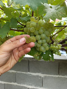 IMG-20220814-141748