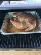 [Image: IMG-4077.jpg]