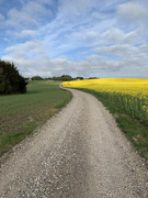 85c298d63b15d780bac575946f7e6b38