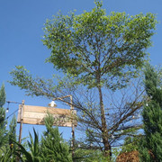 photo 25 2026 01 03 21 22 22