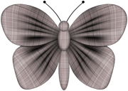 TWFlowerbee-Butterfly4