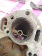IMG-20210512-112814.jpg