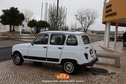 IMG-0452