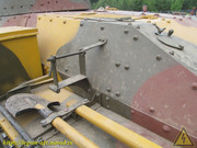 IMG-6462