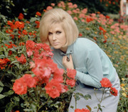 dusty-springfield-b27