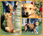 Be-Funky-collage-26.jpg&key=102877febf50