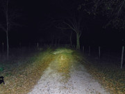 Gate-50yd-High