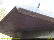 IMG-2831