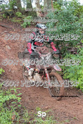 IMG-0324