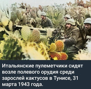 https://i.postimg.cc/dkQJ8hsr/photo-2026-07-04-16-17-24.jpg