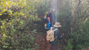 IMG-20251129-130002