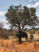 0AD7C8C2-230B-4A5A-B9C2-C80EA4F2F998