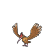 fearow