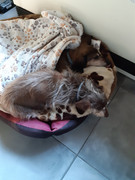 [Image: 20200613-094826.jpg]